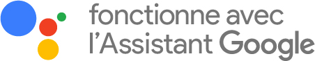 Logo fonctionne avec l'Assistant Google