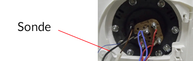 CE_Duralis_sonde.jpg