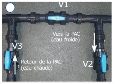 PAC_pisicne_vannes-1.jpg