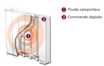 Vue en coupe d'un radiateur &agrave; fluide caloporteur
