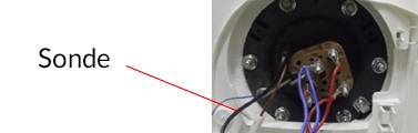CE_Duralis_sonde.jpg