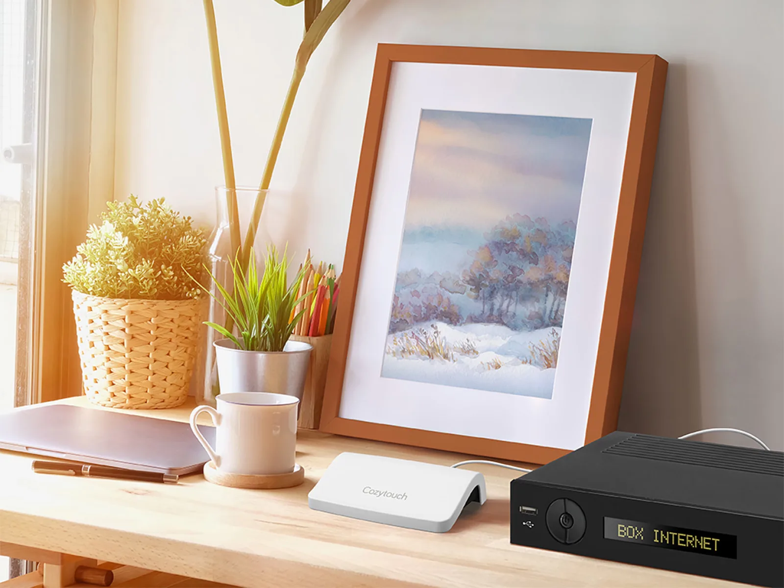 Bridge Cozytouch